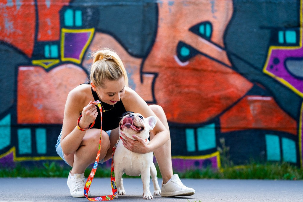 Graffiti Koppel Röd – hundkoppel i graffitimönster från Vareli.se