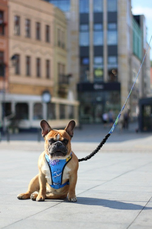 Comfort Lux – tryckfri hundsele från Vareli.se